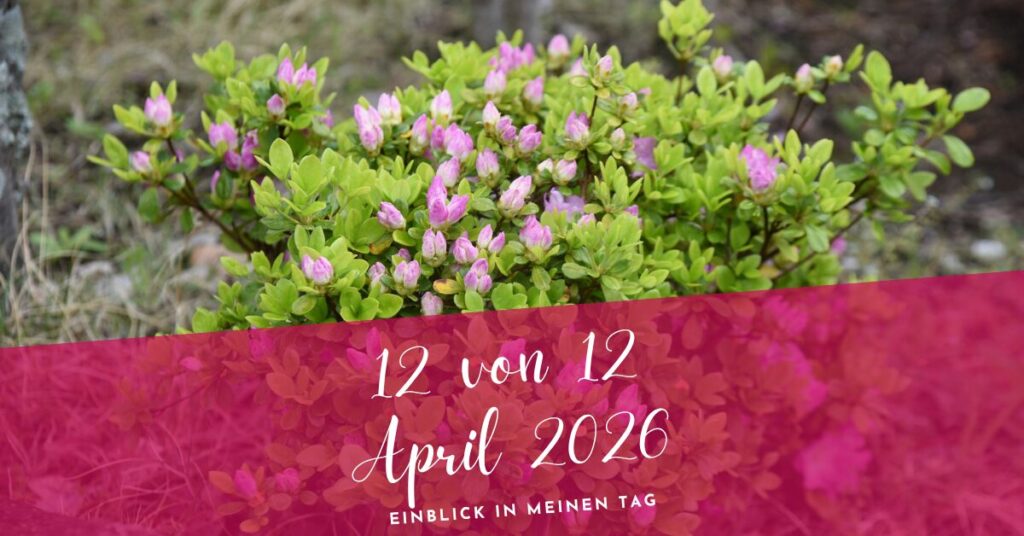 12 von 12 April 2026