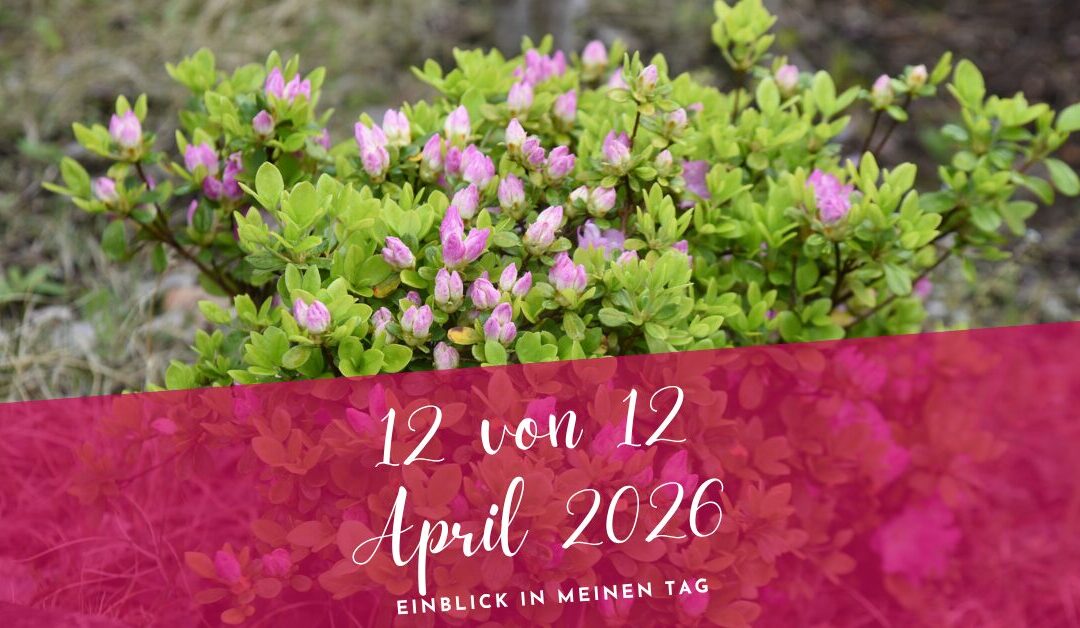12 von 12 April 2026- Bewusst authentisch sein