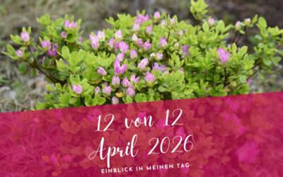 12 von 12 April 2026- Bewusst authentisch sein