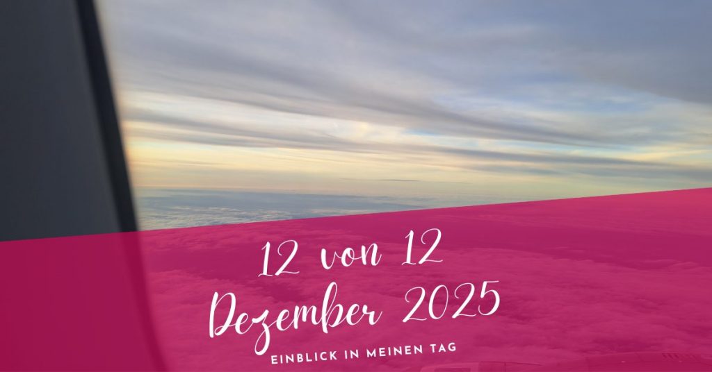 12 von 12 Dezember 2025