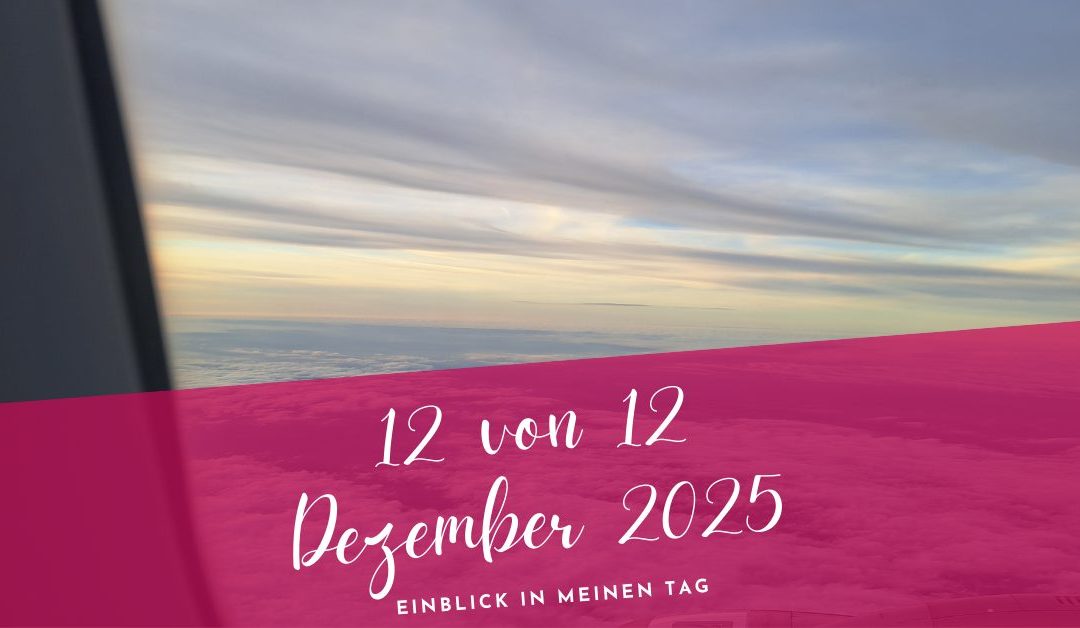 12 von 12 Dezember 2025