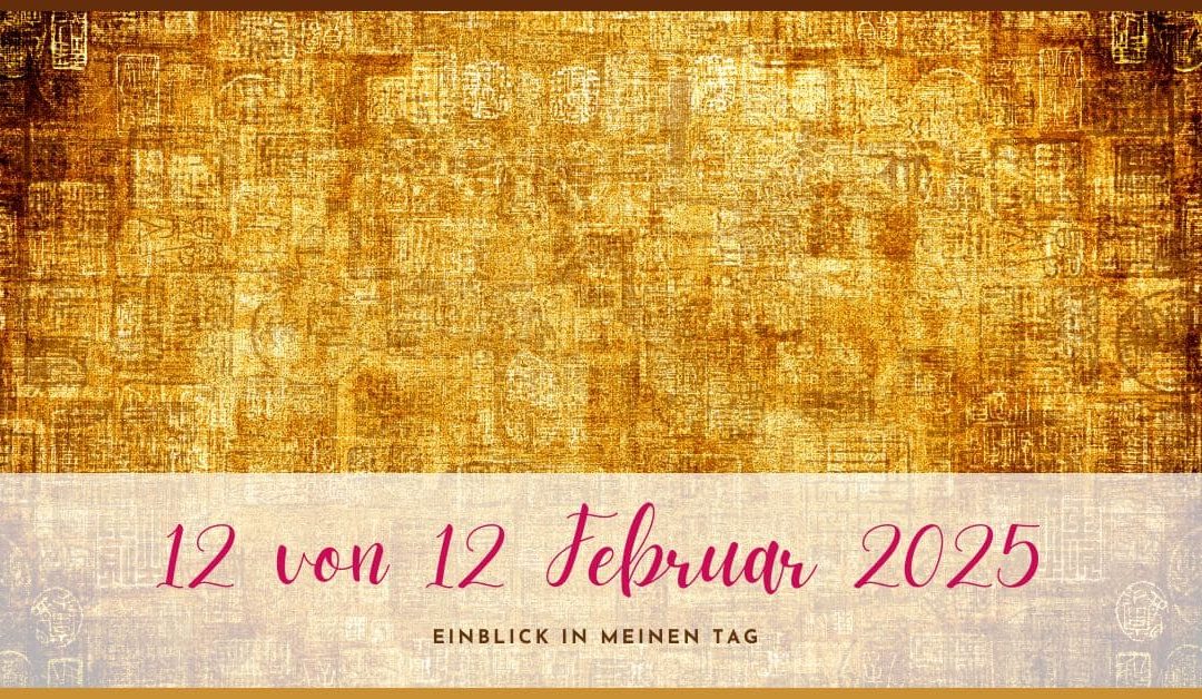 12 von 12 Februar 2025