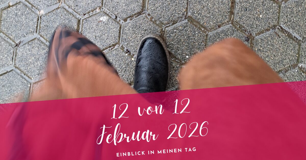 12 von 12 Februar 2026
