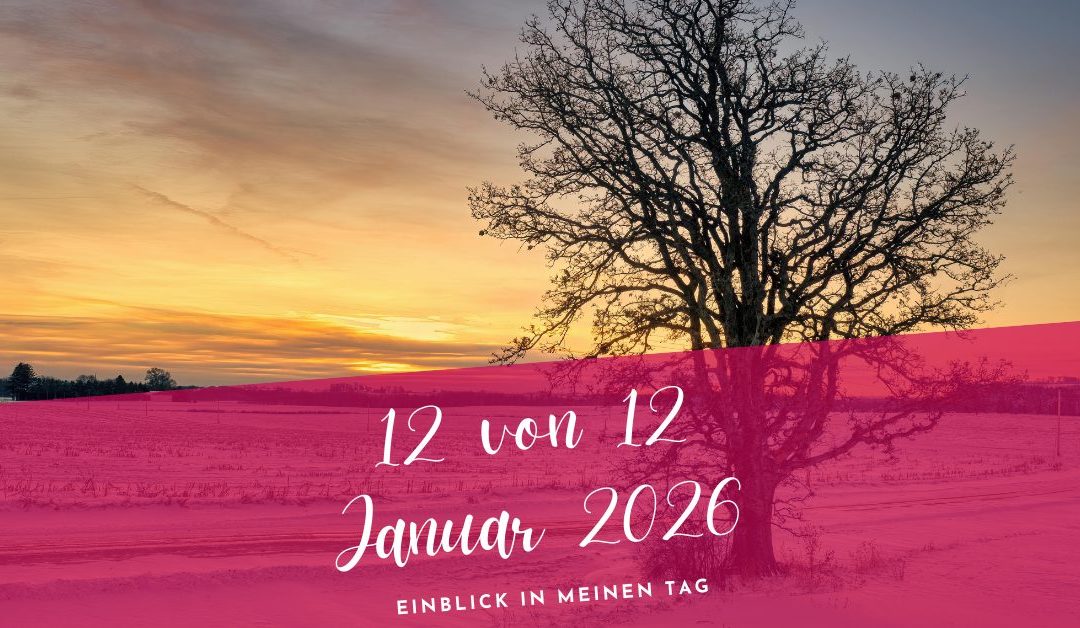 12 von 12 Januar 2026