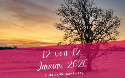 12 von 12 Januar 2026