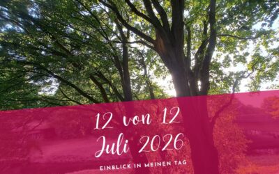12 von 12 Juli 2026- Leise Momente