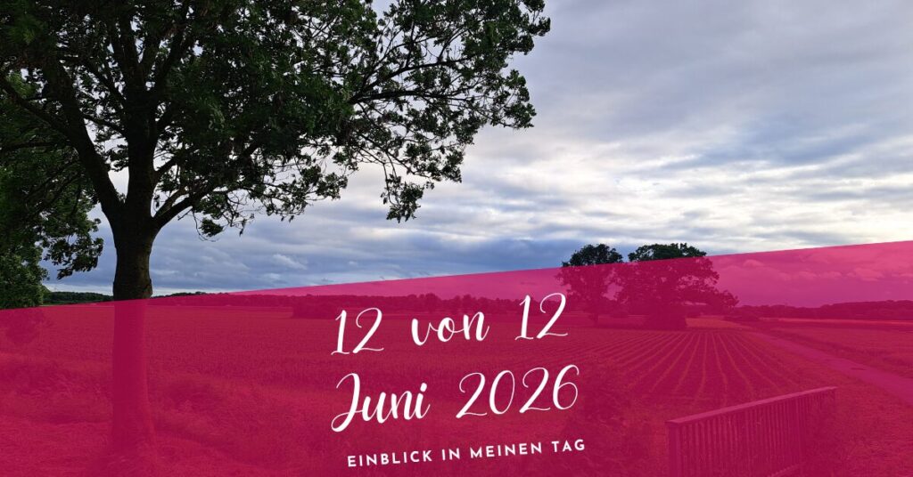 12 von 12 Juni 2026