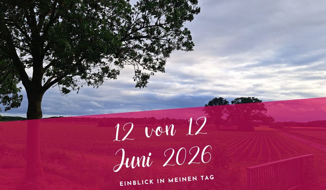 12 von 12 Juni 2026- Leise Momente