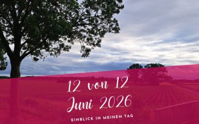 12 von 12 Juni 2026- Leise Momente