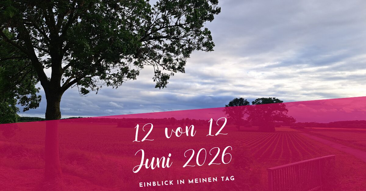 12 von 12 Juni 2026- Leise Momente