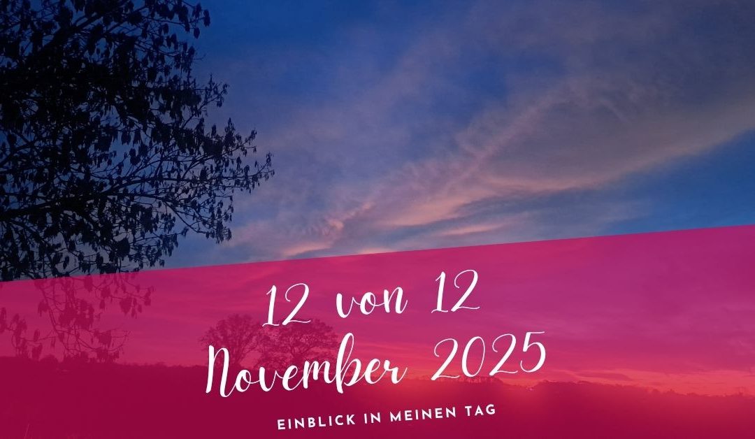 12 von 12 November 2025