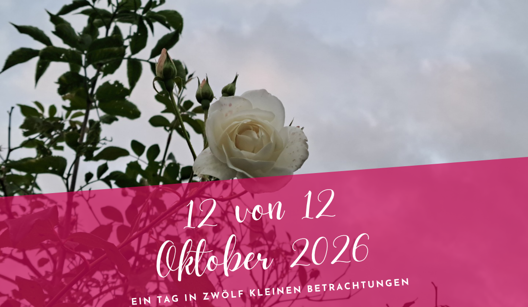 12 von 12 Oktober 2026- Leise Momente