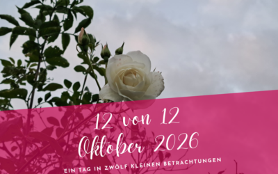 12 von 12 Oktober 2026- Leise Momente