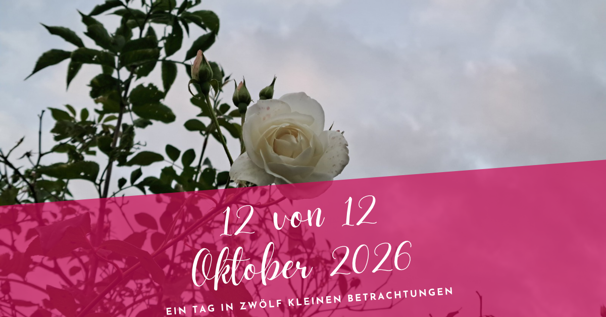 12 von 12 Oktober 2026