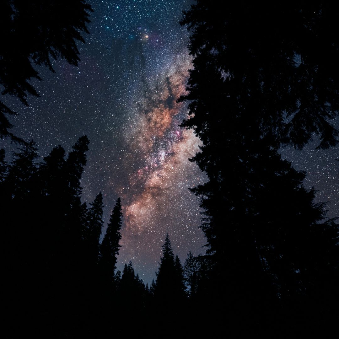 Samhain Samhain Ahnen Rauhnächte