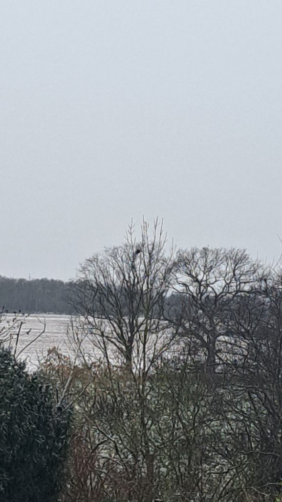 Ausblick aus dem Fenster. Januar