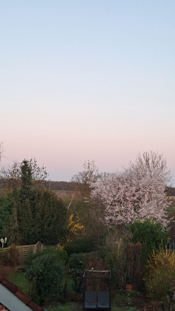 Blick aus dem Fenster