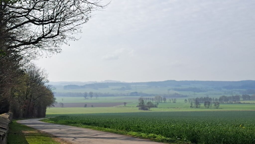 Blick in die Eifel