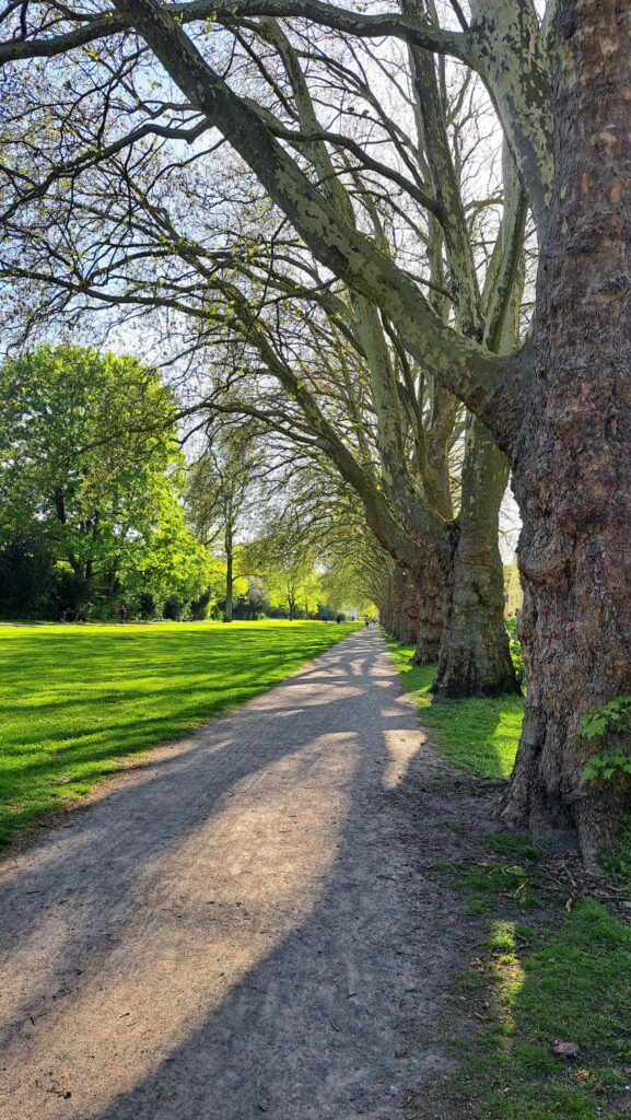 Weg Stille Ruhe Frühling