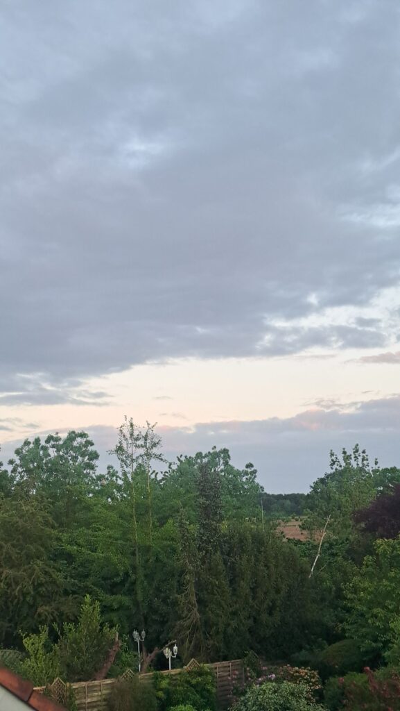 Blick aus dem Fenster
