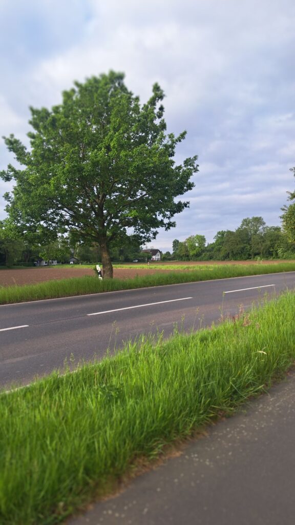 Heimweg
