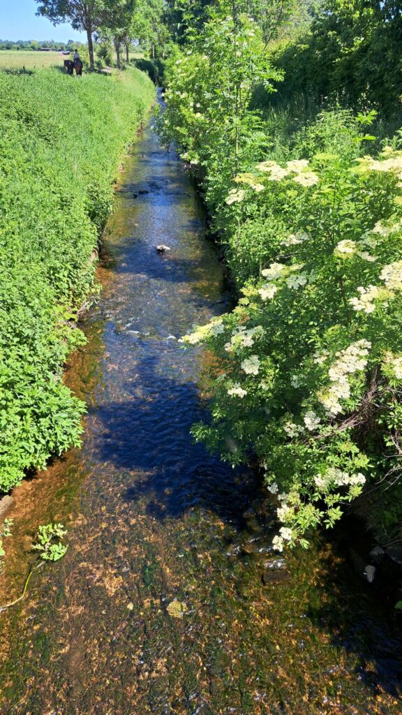 Fluss