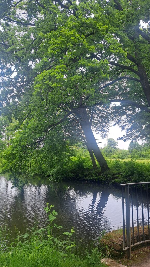 Stille