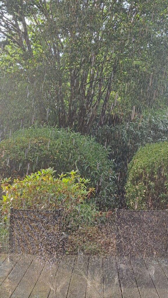Regen