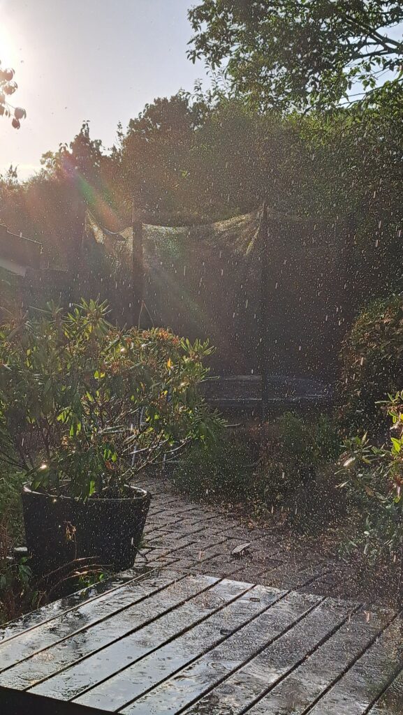 Regen