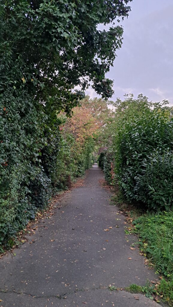 Weg