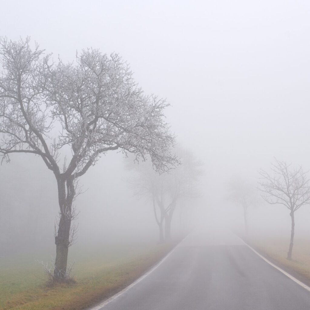 Weg endet Zwischenraum Nebel Straße Orientierungslosigkeit