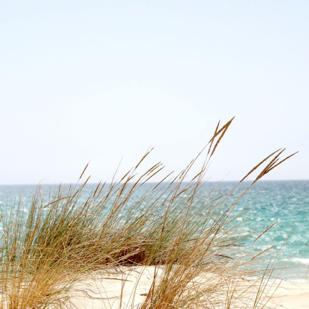 bewusste Verbindungen