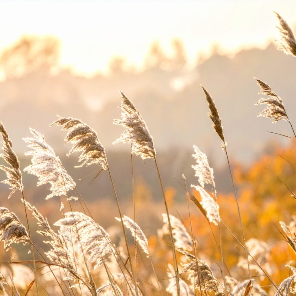 Integrität Natur Stärke Stabilität