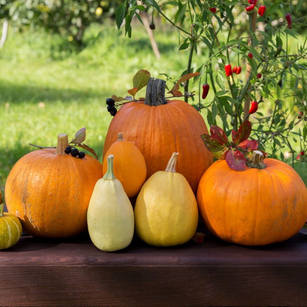 Mabon feiern