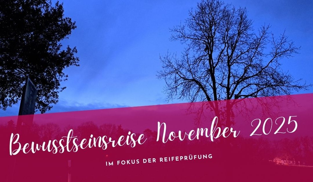 Bewusstseinsreise November 2025- verändere die Welt, aus dir selbst heraus