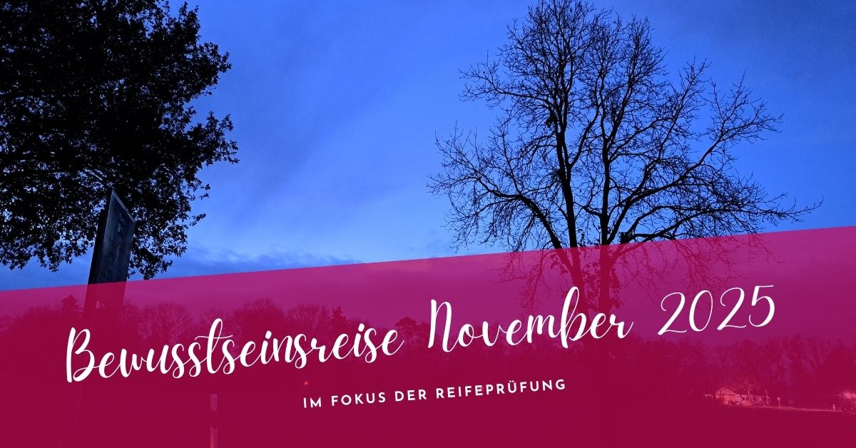 Bewusstseinsreise November 2025- verändere die Welt, aus dir selbst heraus