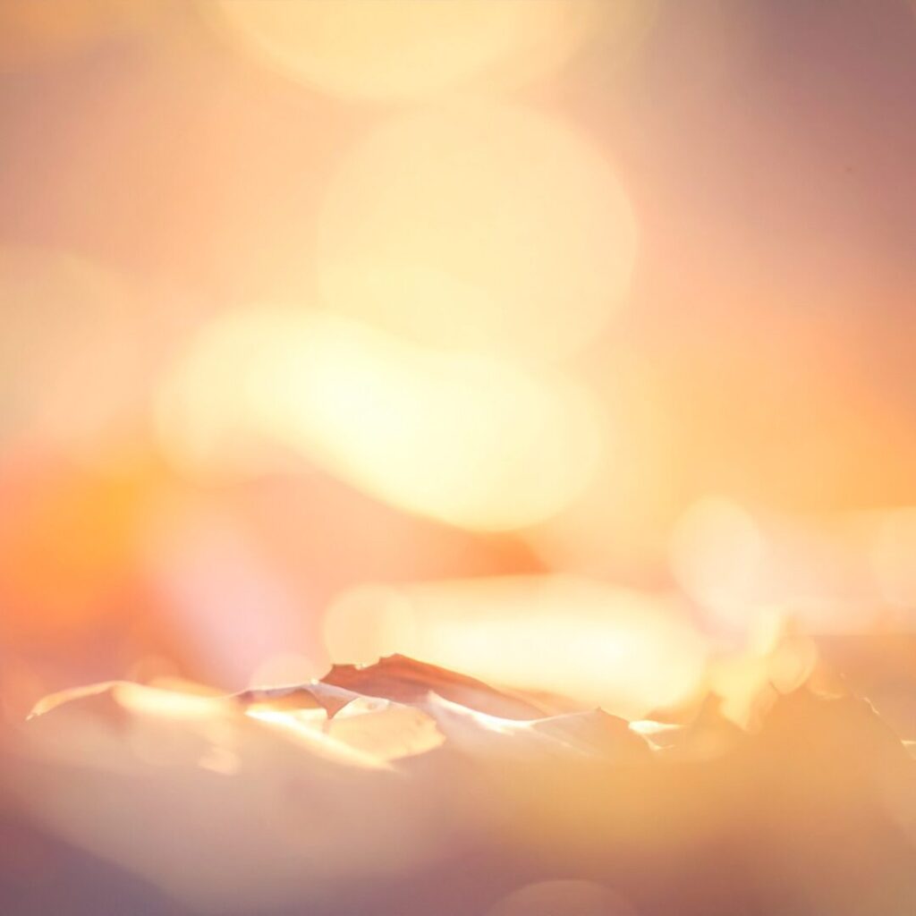 Sanftheit Kinder Weichheit Liebe