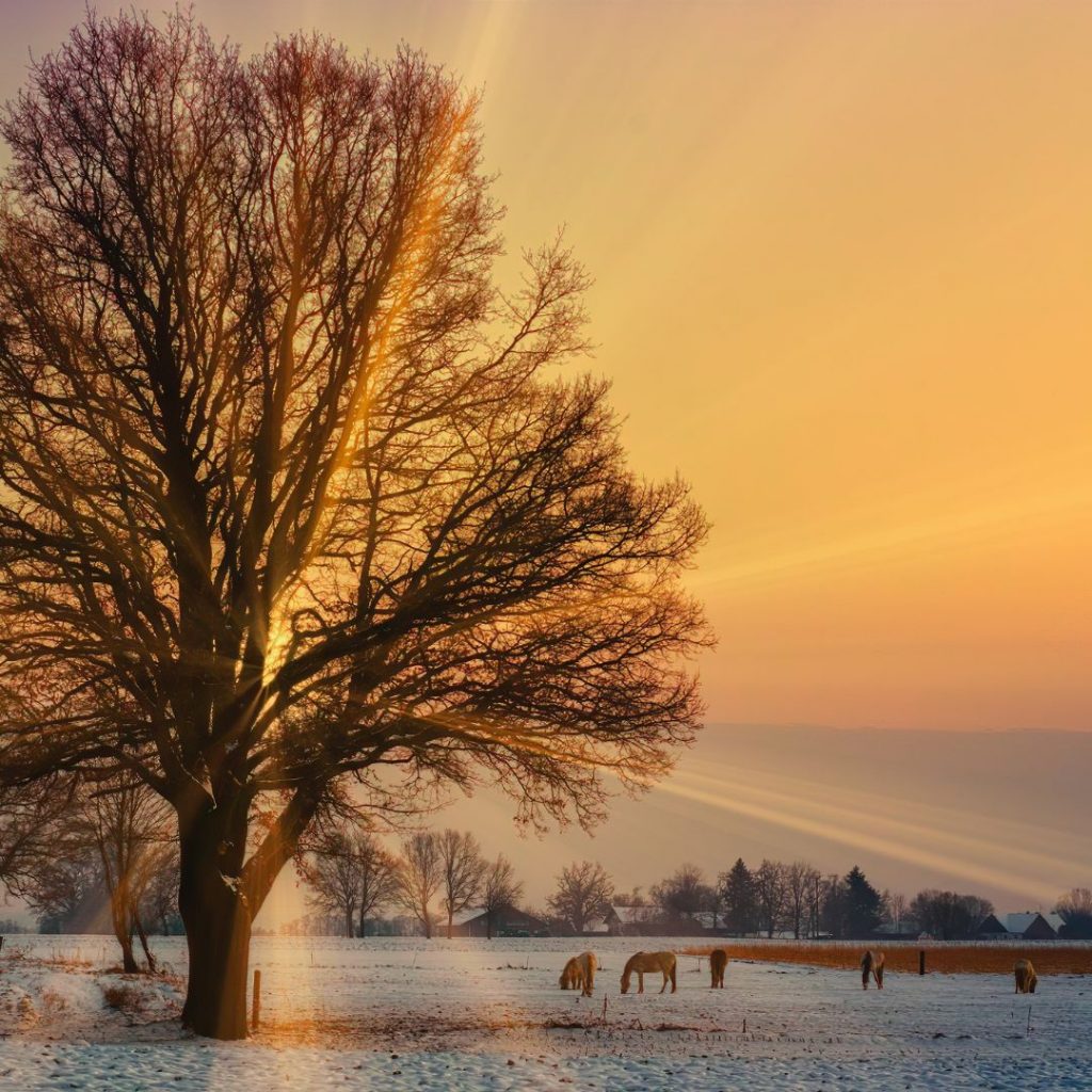 Licht in der Dunkelheit