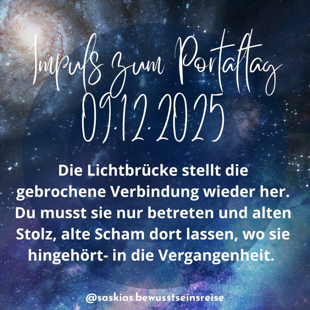 Portaltag 09.12.2025