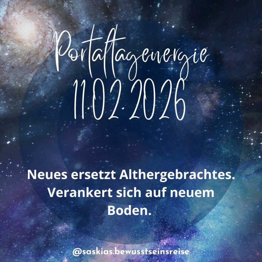 Portaltag 11.02.2026