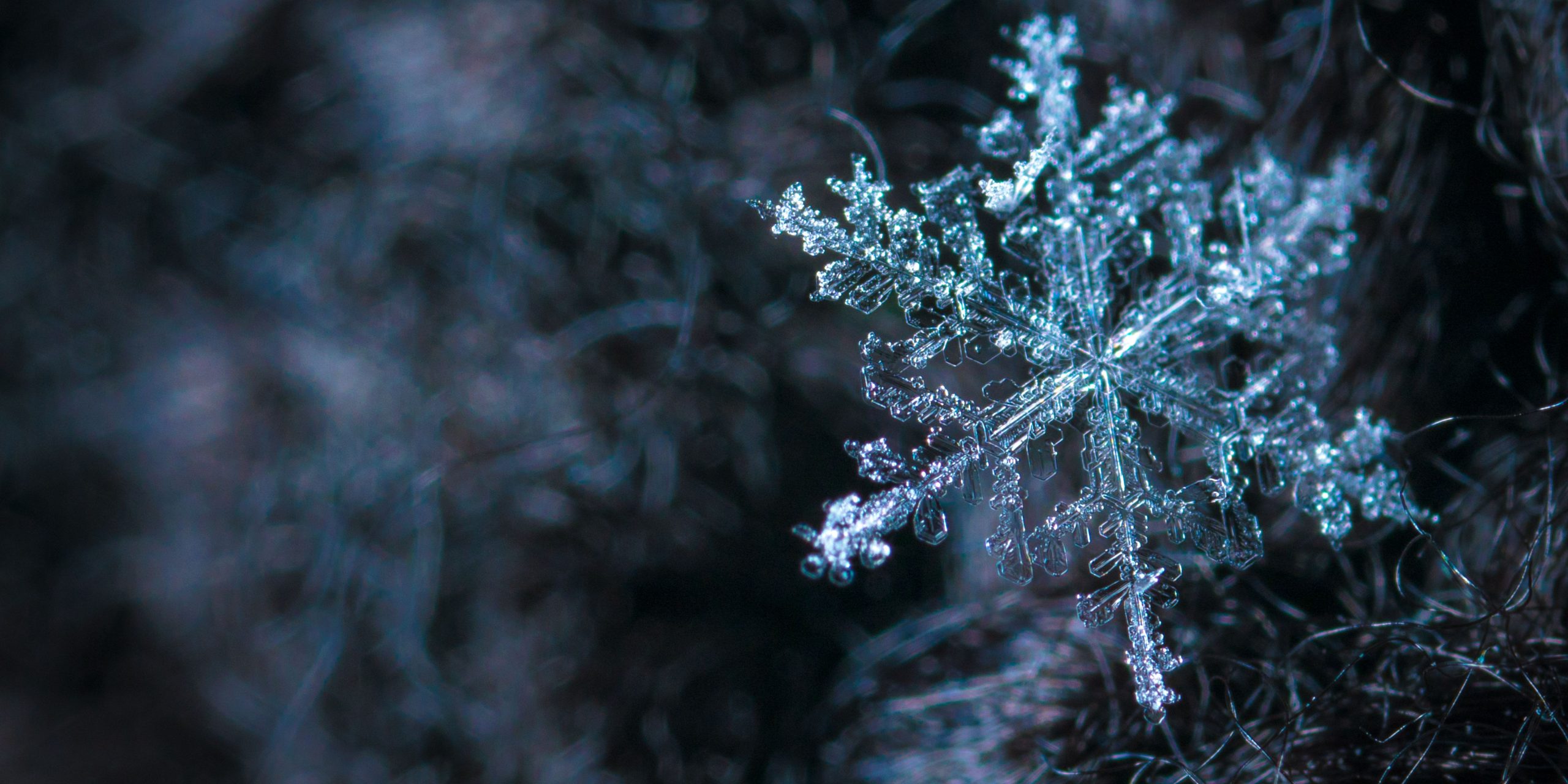 Rauhnachtsbegleitung Rauhnachtsbegleitung