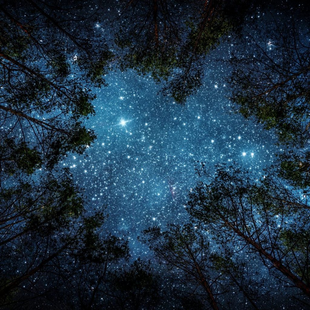 Vision Sternenhimmel Verbundenheit