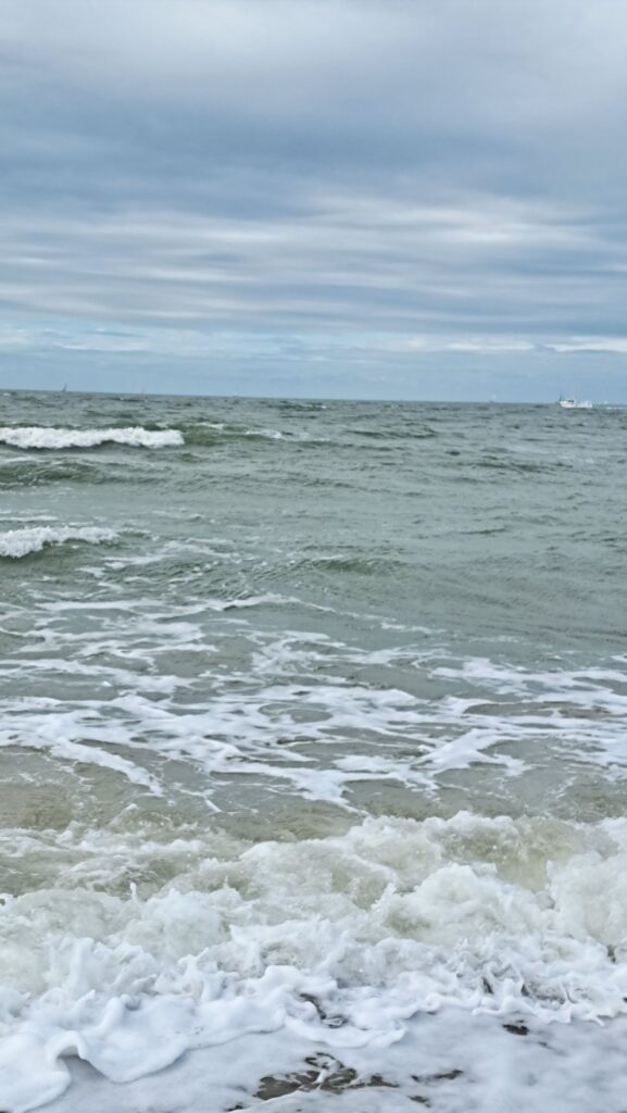 Meer Oostende Wind Wellen