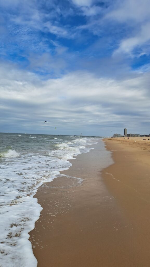 Meer Oostende Wind Wellen